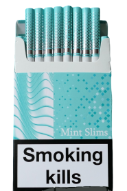 URTA mint slims wide (Юрта ментоловые слимовые широкие) 0